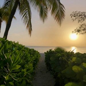 Meet your Posher, Gina